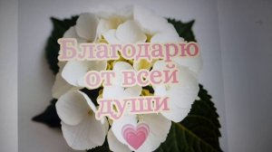 Благодарю Василия В. за денежку! 13.07.2026