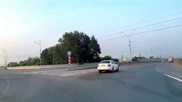 Водятлы на дороге