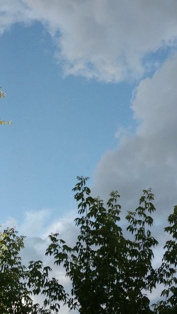 блёстки с неба смотреть онлайн
