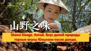 Dianxi Xiaoge. Китай. Вкус дикой природы — горные вкусы Юньнани после дождя.