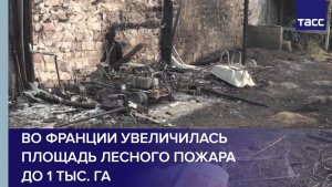 Во Франции увеличилась площадь лесного пожара до 1 тыс. га