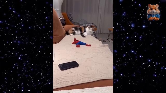 Я РЖАЛ ДО СЛЕЗ😂 15 Минут ОТБОРНЫХ ПРИКОЛОВ 2026 Смешные видео - Лучшие ПРИКОЛЫ смотреть онлайн