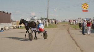 Чăваш Ен Пуçлăхĕн Кубокне çĕнсе илессишĕн - урхамахсен ăмăртăвĕ