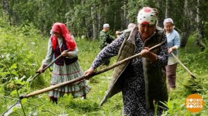 Июль... Самый сенокос! Доброе утро. Фрагмент выпуска от 13.07.2026