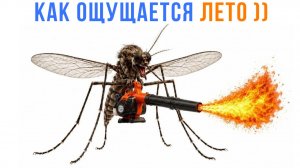 КАК ОЩУЩАЕТСЯ ЛЕТО ))) Приколы | Мемозг 1773