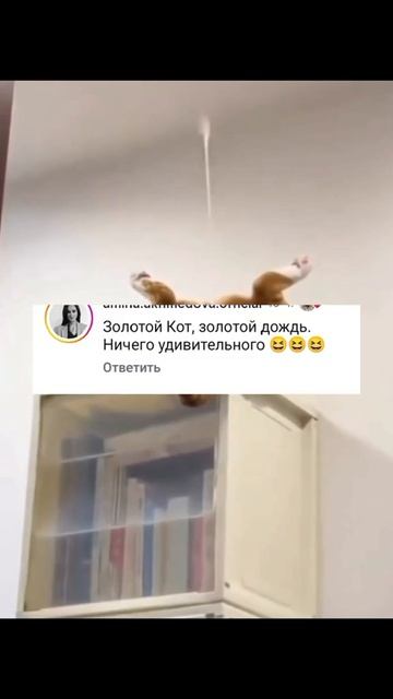 Последняя степень наглости 😂🤭 смотреть онлайн