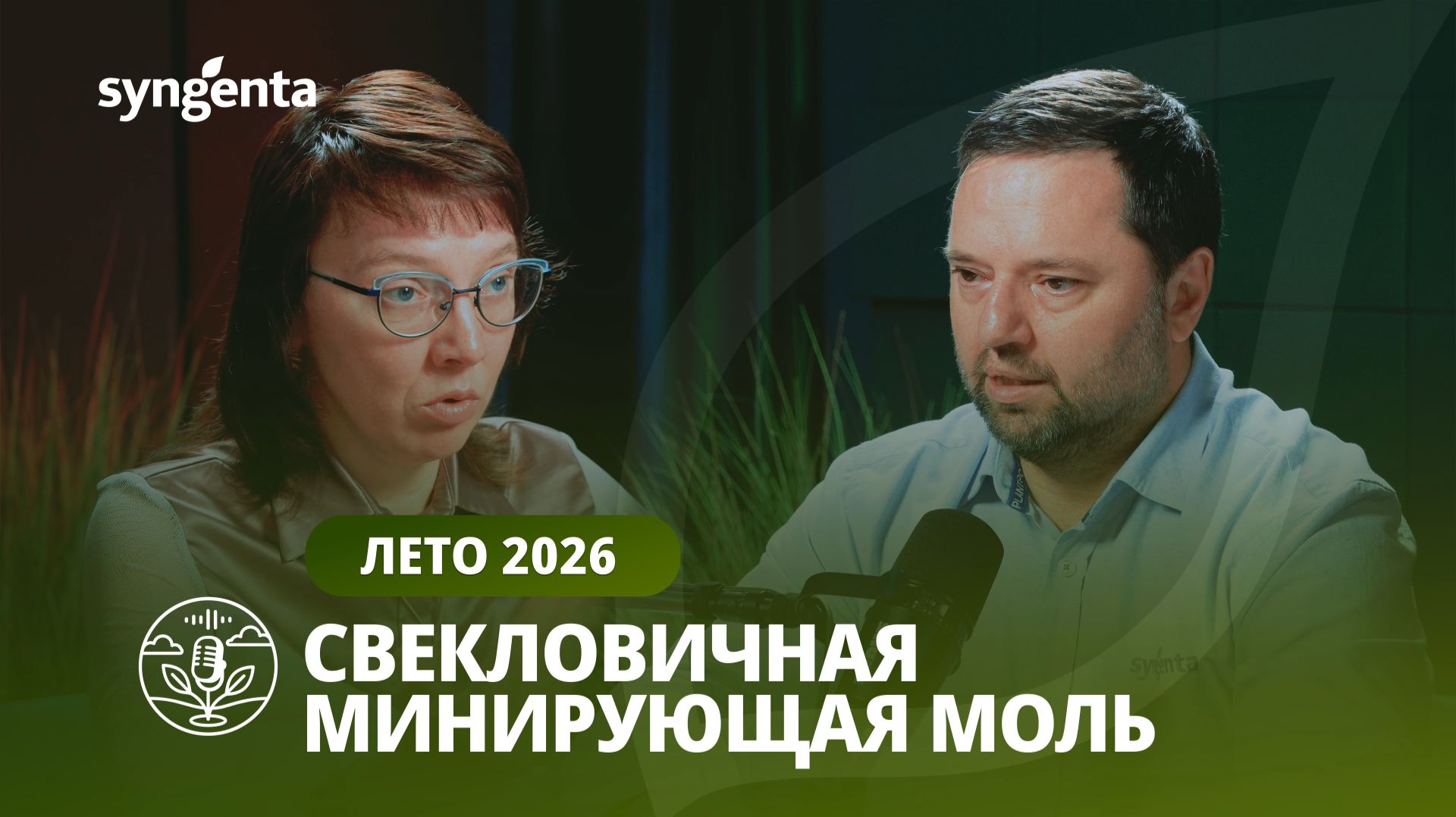 СВЕКЛОВИЧНАЯ МИНИРУЮЩАЯ МОЛЬ
