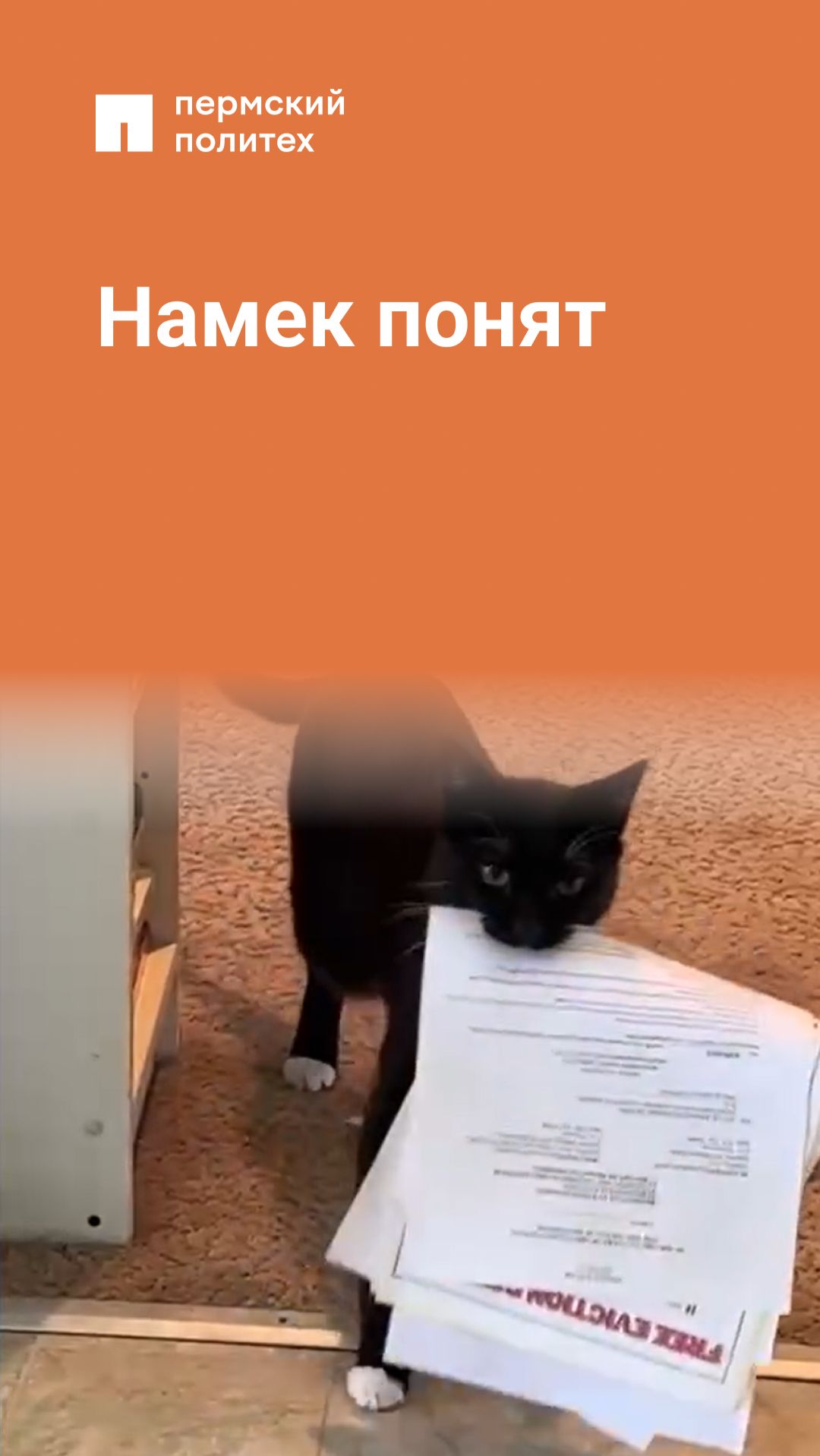 Намек понят смотреть онлайн