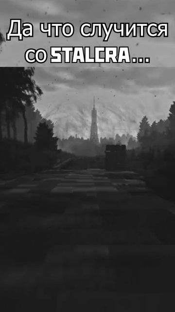 STALZONE #short #stalcraft #stalzone #сталкрафт #сталзон