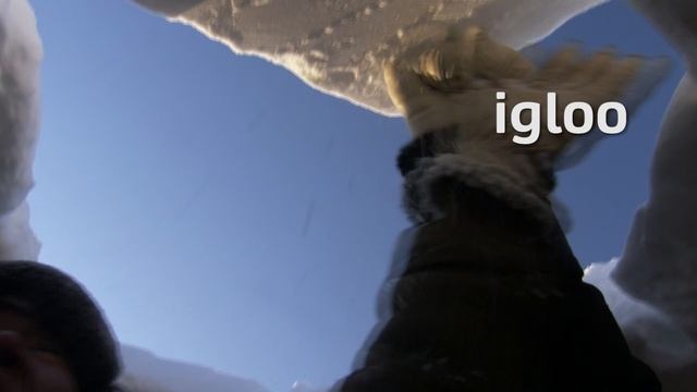 Go Getter 3- Unit 1- Life at home- BBC Get Culture- Video 1- I can talk about my home - The Arctic. смотреть онлайн
