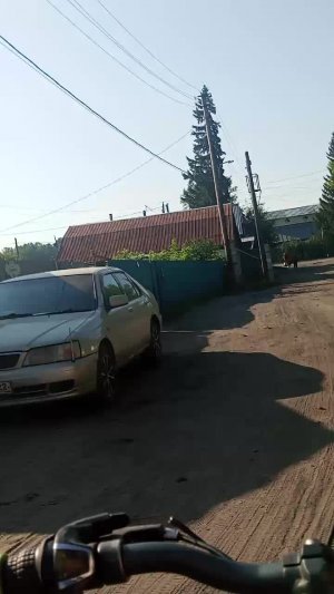 Еду дамой дуболь 2