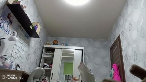 1000014504.mp4