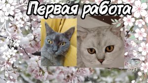 Моя первая работа, хочу научиться делать красиво ❤️