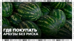 Специалисты рекомендовали покупать арбузы в Москве только в официальных торговых точках - Москва 24