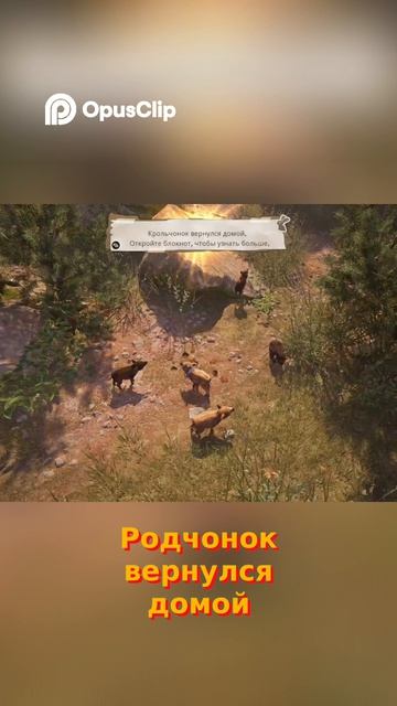 Корольчонок вернулся домой🐰 #Ira_Impera #Impera #Прохождение #AdorableAdventures  #game