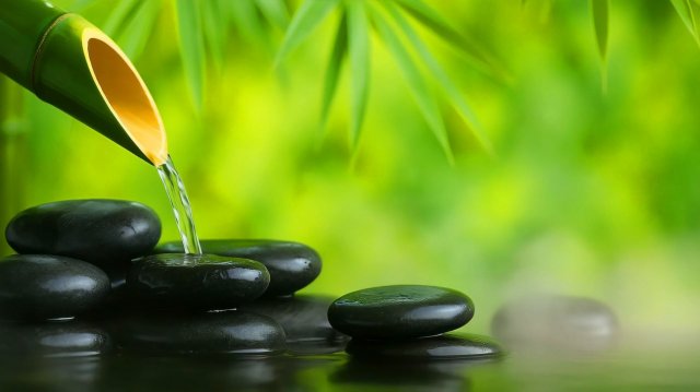 ЧАРУЮЩЕЕ ПЕНИЕ ПТИЦ И ЖУРЧАНИЕ ВОДЫ В ЛЕСУ 🌿 НЕЖНЫЙ ШУМ ВОДЫ 🌿 ЗВУКИ ПРИРОДЫ ДЛЯ МЕДИТАЦИИ И СНА ЧАРУЮЩЕЕ ПЕНИЕ ПТИЦ И ЖУРЧАНИЕ ВОДЫ В ЛЕСУ 🌿 НЕЖНЫЙ ШУМ ВОДЫ 🌿 ЗВУКИ ПРИРОДЫ ДЛЯ МЕДИТАЦИИ И СНА