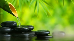 ЧАРУЮЩЕЕ ПЕНИЕ ПТИЦ И ЖУРЧАНИЕ ВОДЫ В ЛЕСУ 🌿 НЕЖНЫЙ ШУМ ВОДЫ 🌿 ЗВУКИ ПРИРОДЫ ДЛЯ МЕДИТАЦИИ И СНА