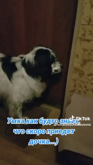 Встреча...)))