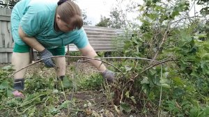 ПРОСТАЯ ЖИЗНЬ 45//НАЧАЛО ОТПУСКА УРА //С ПАПОЙ ПРОВЕРНУЛИ ДЕЛА НА ОГОРОДЕ
