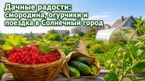 12.07 Дачные радости: смородина, огурчики и поездка в Солнечном городе