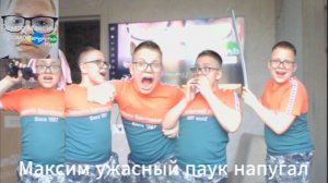 Максим ужасный паук напугал
