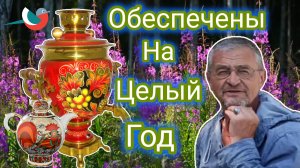 ЗАГОТОВКА ИВАН - ЧАЯ! ФЕРМЕНТАЦИЯ ПРОШЛА УСПЕШНО! ПО ЛОСИНЫМ ТРОПИНКАМ! НАГЛОТАЛАСЬ МОШЕК!