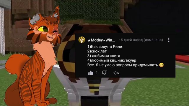 вопрос-ответ 🌿