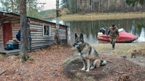 Жизнь в тайге. Вот-вот встанет лед, пора спускаться до другой избы. Обычные будни. 21с