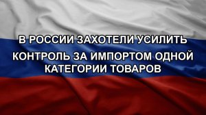 В России захотели усилить контроль за импортом одной категории товаров