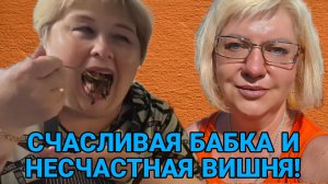 СЧАСЛИВАЯ БАБКА И НЕСЧАСТНАЯ ВИШНЯ. ОЛЬГА УРАЛОЧКА LIVE. ОБЗОР.