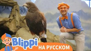 Блиппи кормит животных в зоопарке _ Изучай этот мир вместе с Блиппи _ Обучающие