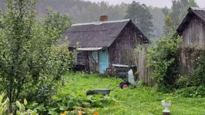 СОБРАЛИ МАЛИНУ И ЧЕМ ЗАНИМАЛИСЬ В ВОСКРЕСЕНЬЕ.