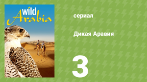 Дикая Аравия 1 сезон 3 серия (документальный сериал, 2013)