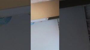 хз приветики
