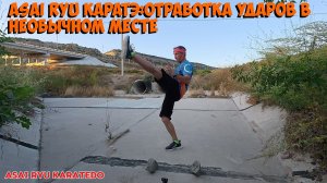 Asai Ryu Каратэ: отработка ударов в необычном месте