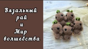 МНОГО НАЧИНАНИЙ / ЛЮБИМЫЕ ПУШИСТИКИ