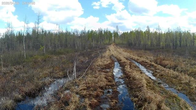 День 8-ой.Сгущёнка для медведя. Попроведовал друга. смотреть онлайн