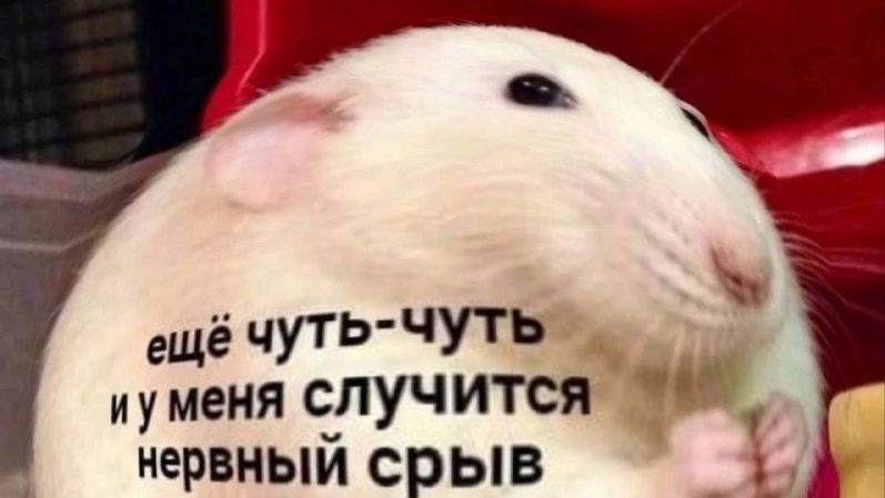 СТРИМЧИК смотреть онлайн