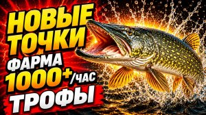 🤑 НОВЫЕ ТОЧКИ для ФАРМА РР4! ОСТРОГ • НОРВЕЖКА • АРХИПЕЛАГ! Фарм Серебра в Русской Рыбалке 4