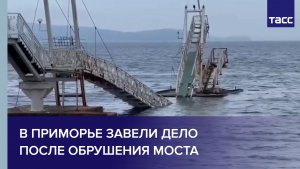 В Приморье завели дело после обрушения моста