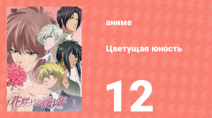 Цветущая юность 12 серия (аниме-сериал, 2009)