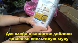 Обзор покупок с маркетплейсов: мука спельтовая, консервный нож, солод ржаной, джинсы, худи