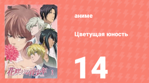 Цветущая юность 14 серия (аниме-сериал, 2009)