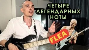 Легендарная басовая фишка Flea из Red Hot Chili Peppers / Around The World Бас разбор