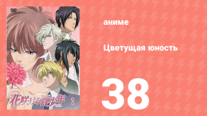 Цветущая юность 38 серия (аниме-сериал, 2009)
