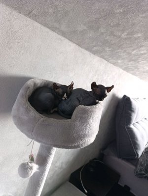 выполняю задания