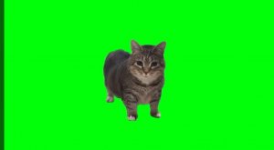 ОКАК
