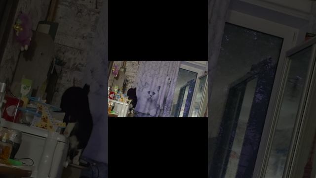 Вышивальная неделя с 6-12 июля