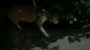 Ты сегодня попробуй нежно и ненавязчиво