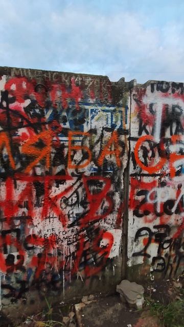 Воронеж. Могила лидера группы "Сектор Газа" Юры Хоя
